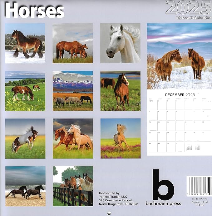 Bachmann Press 2025 Horses Full Size Wall Calendar for Planning, Scheduling, and Organizing
