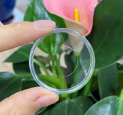 Discbound Expansion Discs, Suitable for Customized Disc Bound Notebooks Planners Journals Binders Scrapbooking, Clear, Plastic, Pack of 11 (1.5 Inch (38mm))