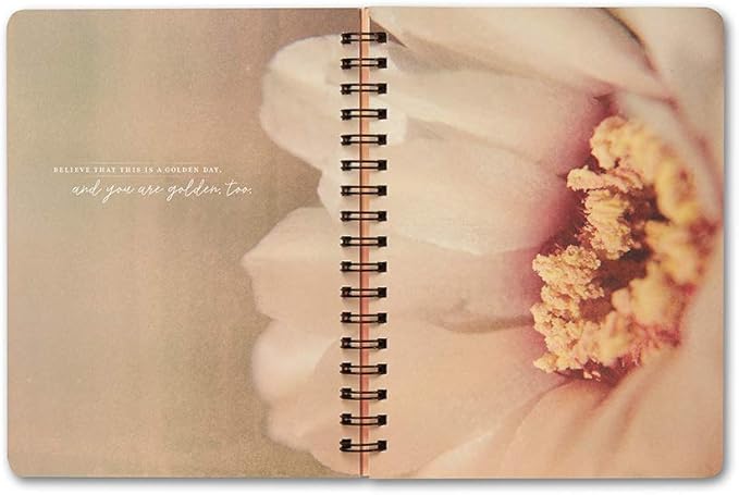 Compendium Spiral Notebook - You are here. Now, everything is possible. — A Designer Spiral Notebook with 192 Lined Pages, College Ruled, 7.5”W x 9.25”H