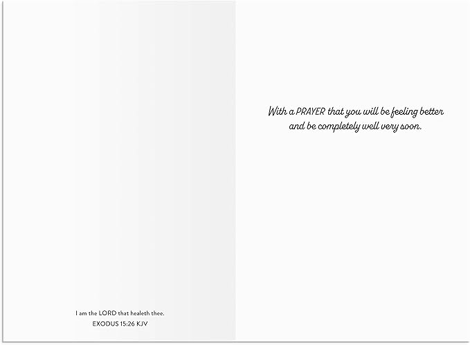 DaySpring - Roy Lessin - May the Lord Bless You - 4 Landscape Design Assortment with Scripture - King James Version - 12 Get Well Boxed Cards & Envelopes (U1206)