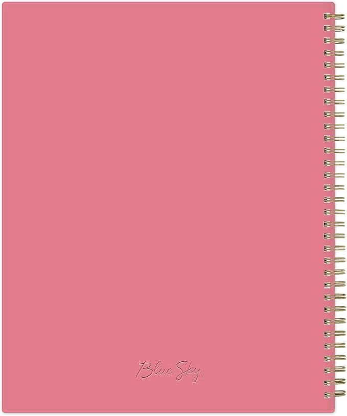 Blue Sky 2024 Weekly and Monthly Planner, January - December, 8.5" x 11", Frosted Cover, Wirebound, Fly By (140195-24)