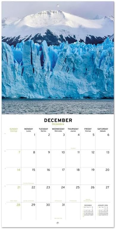 Nature Wall Calendar 2025 12" x 12" FSC® Plastic Free - Starts Week On Sunday | Square Wall Calendar | Family Planner Calendar 2025 | Nature Calendar 2025