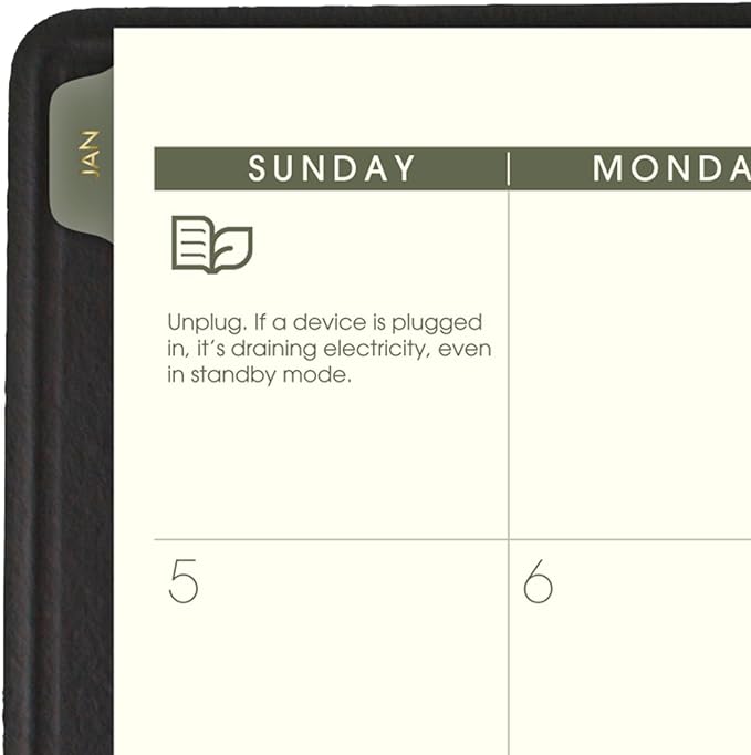 AT-A-GLANCE 2025 Planner, Monthly, 9" x 11", Large, Recycled, Black (70260G0525)