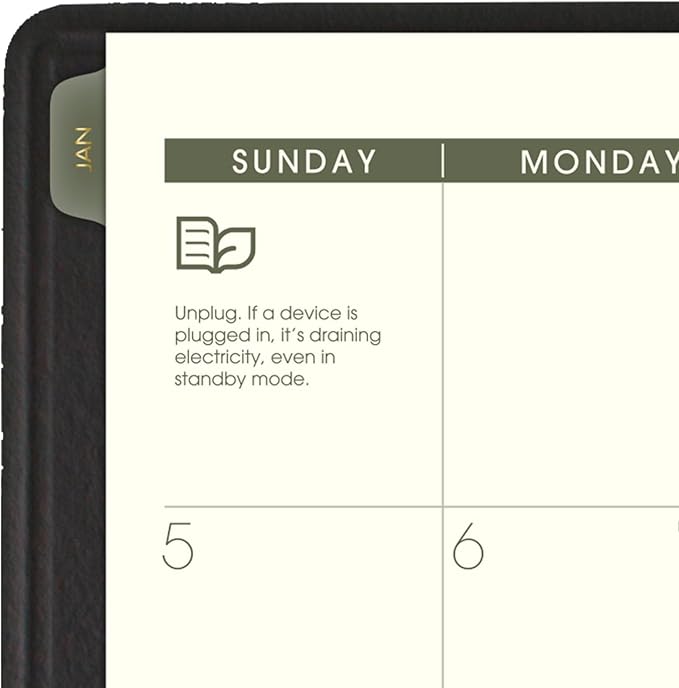 AT-A-GLANCE 2025 Planner, Monthly, 7" x 8-3/4", Medium, Recycled, Black (70120G0525)