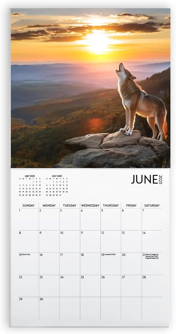 Wolf Calendar 2025 and Sticker Pack, Large 12 x 12 inch, Wolf Wall Calendar with Sticker Set, Gift for Wolf Lovers, Cute Calendar for girls or boys