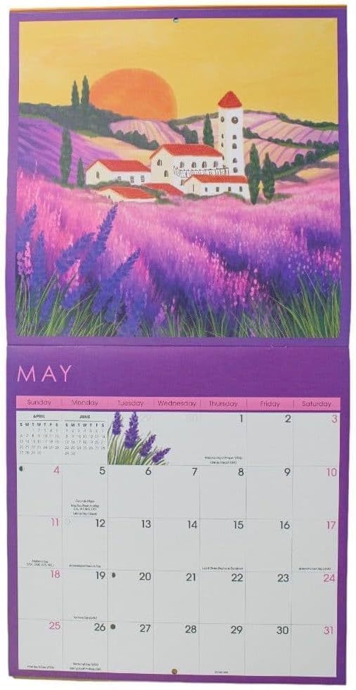 NIQUEA.D Beautiful Bright Places 2025 Wall Calendar