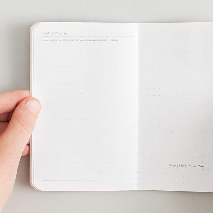 Letterfolk Pregnancy Passport Journal — Pocket-sized Maternity Milestone Book (3.5" W x 5.5" H)