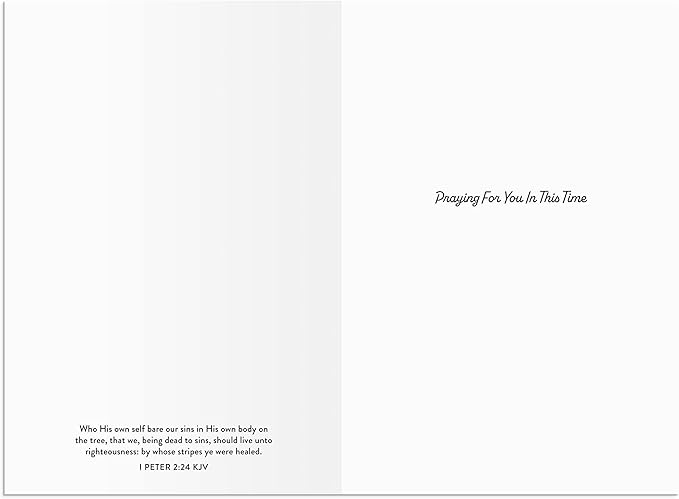 DaySpring - Roy Lessin - May the Lord Bless You - 4 Landscape Design Assortment with Scripture - King James Version - 12 Get Well Boxed Cards & Envelopes (U1206)