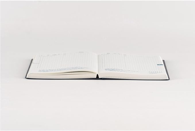 Hobonichi Techo 2025 HON [English/A6 Size/January Start/Planner] (Multi)