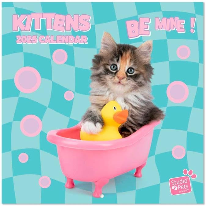 Kittens Wall Calendar 2025 12" x 12" FSC® Plastic Free - Starts Week On Sunday | Square Wall Calendar | Family Planner Calendar 2025 | Cat Calendar 2025