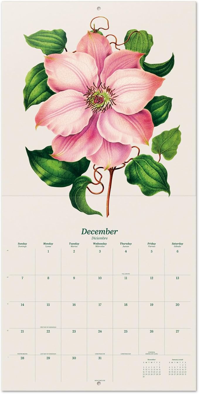 Botanical Wall Calendar 2025 12" x 12" FSC® Plastic Free - Starts Week On Sunday | Square Wall Calendar | Family Planner Calendar 2025 | Flowers Calendar 2025