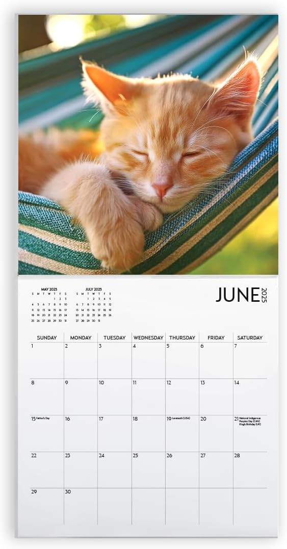 Cat Calendar 2025 with Sticker Pack, Kitten Square Large Wall Calendar 12 x 12 inch, Yearly Cat Lover's Calendar and Sticker Set