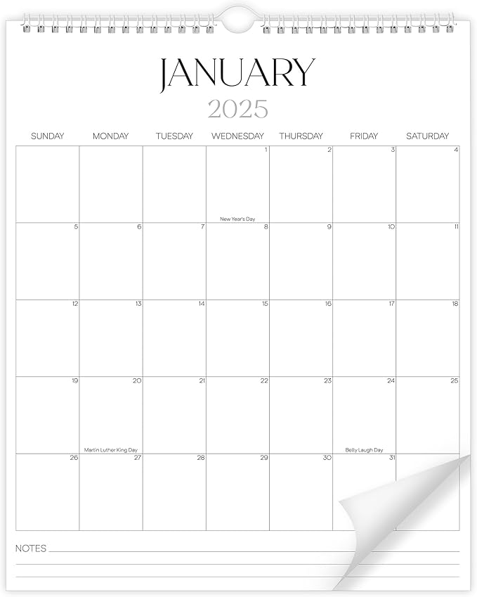 2025-2026 Wall Calendar Sleek Calendar 2025-2026 Runs from January 2025 to June 2026, Big 18 Months Spiral Hanging Wall Calendar for Home/Office w/Premium Paper and Large Blank Space