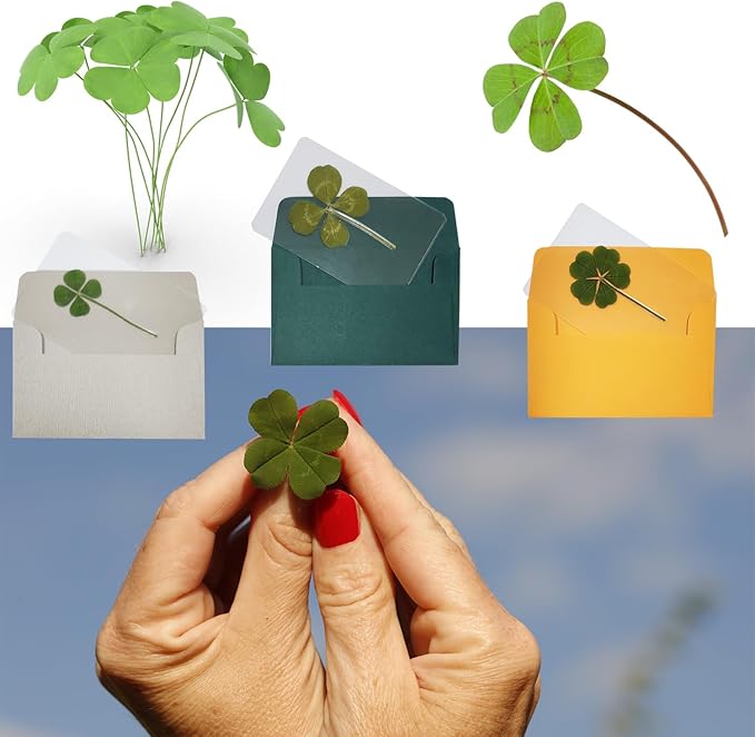 Genuine Real Four Leaf Clover Card Bookmark, Five Leaf Clover Card, Good Luck Gift Card, Invitation Card in Envelope, Good Luck Charm Deco (Big Four-Leaf Clover)