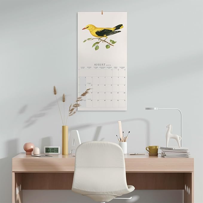Wall Calendar 2024 12" x 12" FSC® Plastic Free - Starts Week On Sunday | Square Wall Calendar 2024 | Family Planner Calendar 2024 | 2024 Calendar (Birds 2024)
