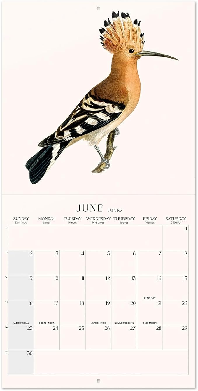 Wall Calendar 2024 12" x 12" FSC® Plastic Free - Starts Week On Sunday | Square Wall Calendar 2024 | Family Planner Calendar 2024 | 2024 Calendar (Birds 2024)