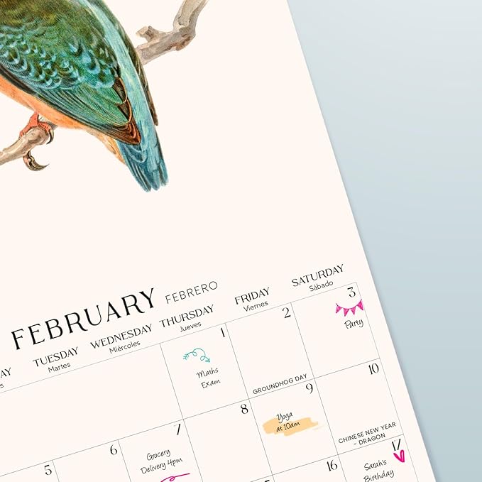 Wall Calendar 2024 12" x 12" FSC® Plastic Free - Starts Week On Sunday | Square Wall Calendar 2024 | Family Planner Calendar 2024 | 2024 Calendar (Birds 2024)