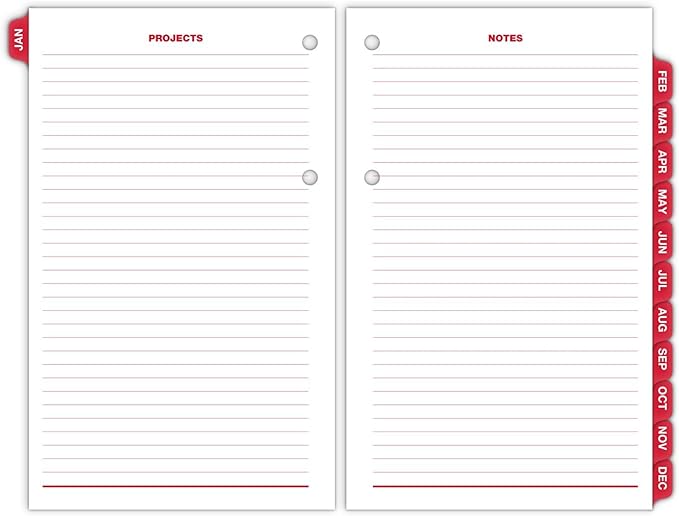 AT-A-GLANCE 2025 Desk Calendar Refill, Daily, 4-1/2" x 7-1/2", Large, Loose-Leaf, Burkhart's Day Counter (E7125025)