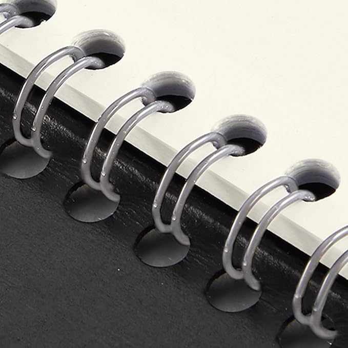 AT-A-GLANCE 2025 Appointment Book Planner, Weekly & Monthly, 5" x 8", Small, Hourly, Recycled, Black (70100G0525)