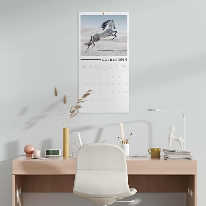 Wall Calendar 2024 12" x 12" FSC® Plastic Free - Starts Week On Sunday | Square Wall Calendar 2024 | Family Planner Calendar 2024 | 2024 Calendar (Horses 2024)