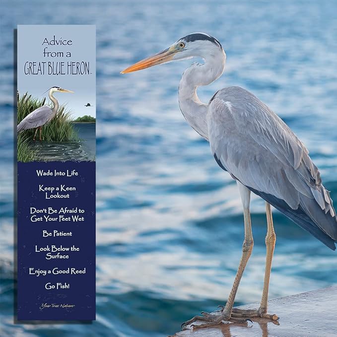 Advice from Nature 3 Bookmark Zen Set, Laminated with Glossy Finish, Printed on Recycled Paper - Great Blue Heron, Lake, Dragonfly (AMBM-ZEN)