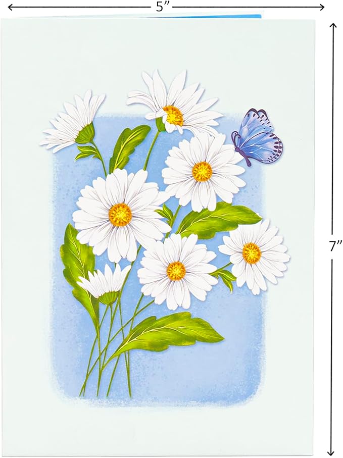 Daisy Pop Up Cards, White Daisy, Butterfly, 3D Greeting Cards, Gifts for Birthday, Mothers Day, Valentines Day, Mom, Wife, Girlfriend, Sister, 5x7 - Includes Envelope And Message Note