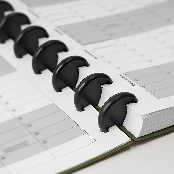 Nekmit Discbound Planner 2025, Work Breakdown Structure 12 Month Planner, 8.5"x11", Jan 2025 - Dec 2025 Daily, Weekly, Monthly Planner, Appointment Budget Book (Green)