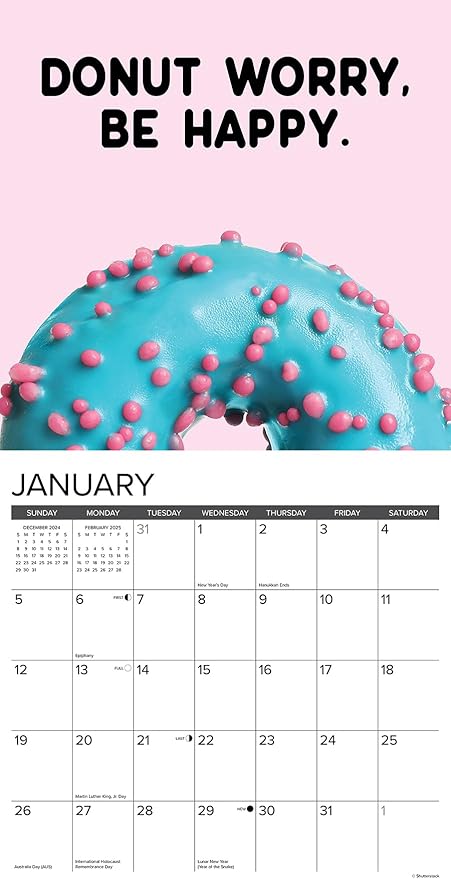 Willow Creek Press Do or Donut Monthly 2025 Wall Calendar (12" x 12")