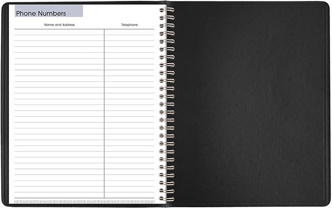 AT-A-GLANCE 2025 Planner, Weekly, 7" x 8-3/4", Medium, Block-Style, DayMinder, Black (G5350025)