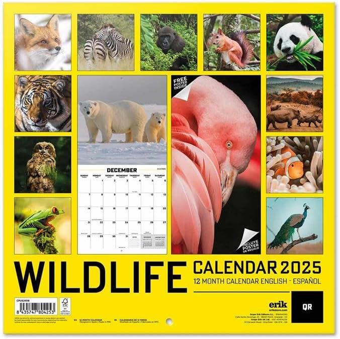 Wildlife Wall Calendar 2025 12" x 12" FSC® Plastic Free - Starts Week On Sunday | Square Wall Calendar | Family Planner Calendar 2025 | Animal Calendar 2025
