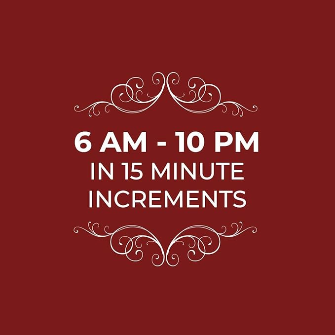 Notebook Planner, Appointment Book –5" x 13.5" Large Undated 2024 Planner, Daily & Hourly Planner – Spiral Notebook Organizer for Scheduling Appointments (2 Columns)