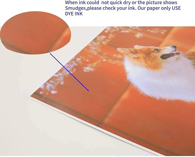 Koala Double Side Thin Glossy Photo Paper 8.5x14 Inches Legal Size 120gsm 100 Sheets Compatible with Inkjet Printer and Dye Ink 32LB