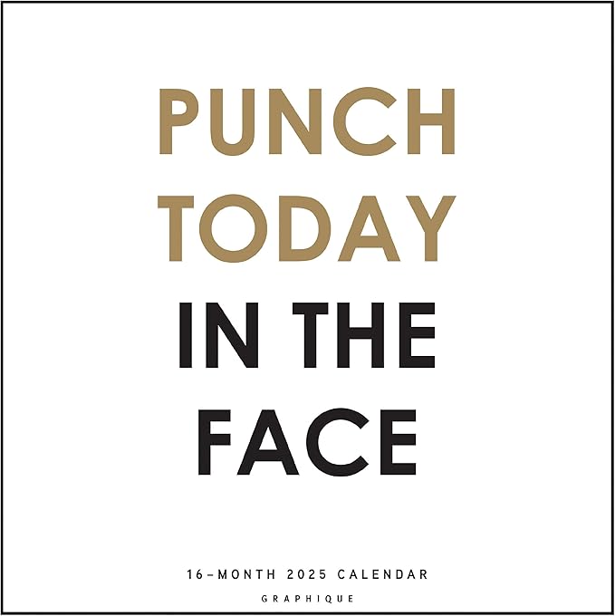 Graphique 2025 Punch Today in the Face Wall Calendar | 12” x 12” | Thick Paper | Home & Office Organizer | Large Monthly Grid | 3 Languages & Marked Holidays | 4 Month Preview Page for 2026