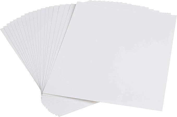 Canon 2768B022 Photo Paper Pro Platinum, 8.5 x 11 Inches, 20 Sheets (Pack of 2)