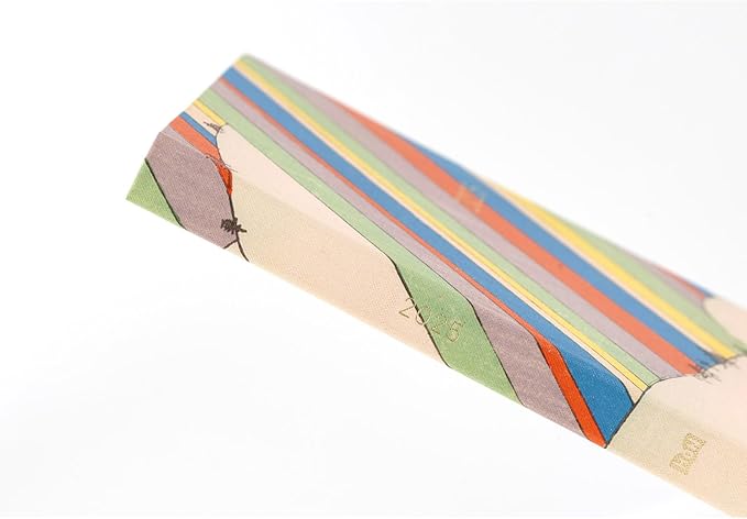 Hobonichi Techo 2025 HON [English/A6 Size/January Start/Planner] (Multi)