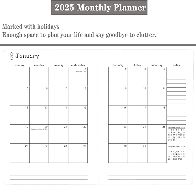 2025 Appointment Book/Planner, One Page Per Day, Jan - Dec 2025, Annual Daily Monthly Agenda Planner with Hourly Schedule and Monthly Tabs, 5.7" x 8.3" Calendar Planner (5-Pink)