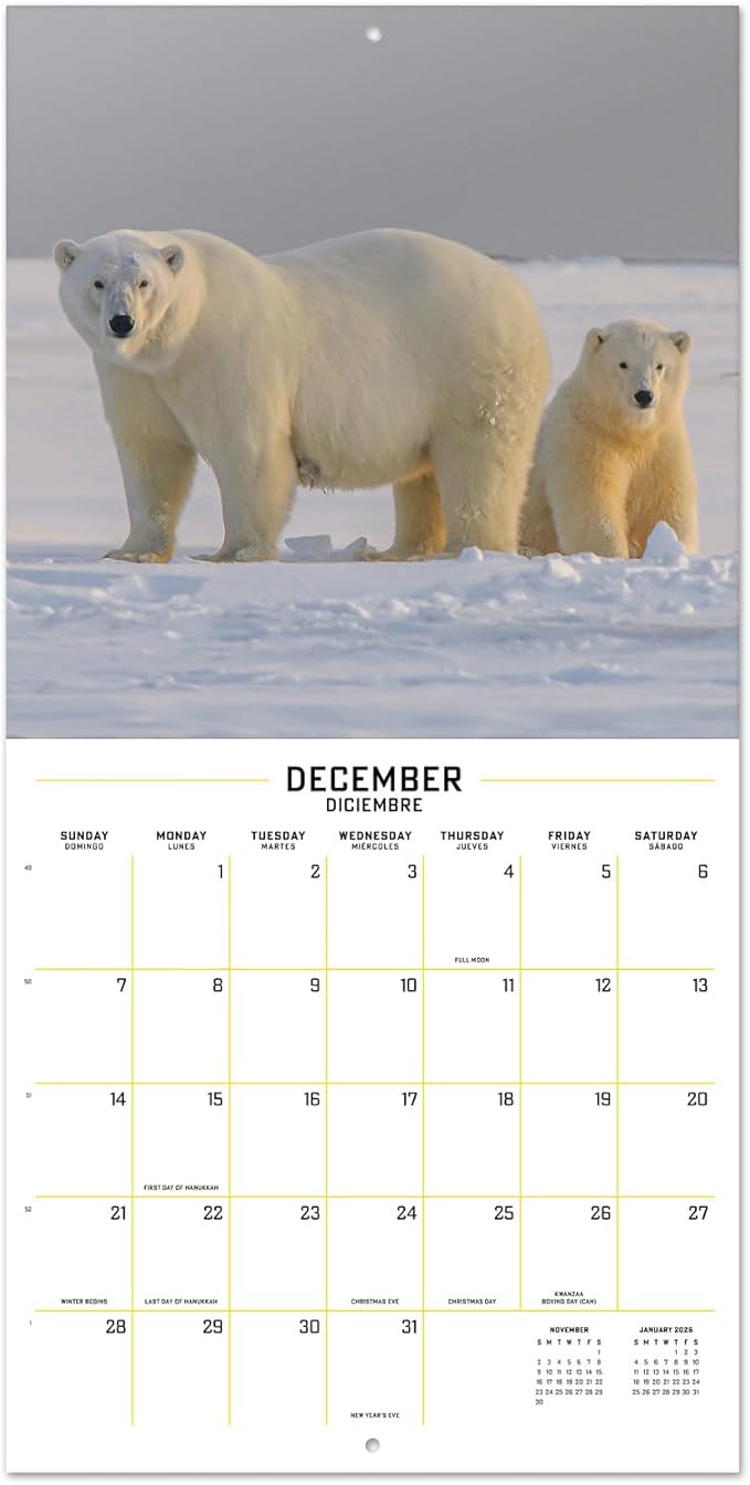 Wildlife Wall Calendar 2025 12" x 12" FSC® Plastic Free - Starts Week On Sunday | Square Wall Calendar | Family Planner Calendar 2025 | Animal Calendar 2025