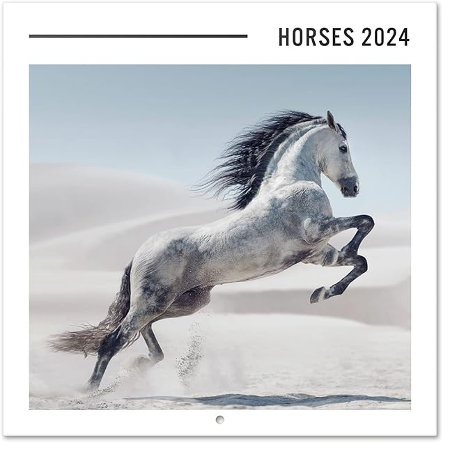 Wall Calendar 2024 12" x 12" FSC® Plastic Free - Starts Week On Sunday | Square Wall Calendar 2024 | Family Planner Calendar 2024 | 2024 Calendar (Horses 2024)