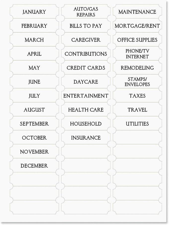 The Best Days Bill Paying Organizer Book - Personal Account book, 9" by 12 inch, Spiral-Bound, 14 Pockets, 32 Label Stickers, Bill Tracking
