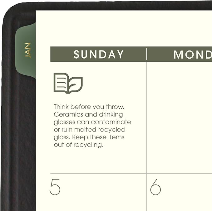 AT-A-GLANCE 2025 Appointment Book Planner, Weekly & Monthly, 7" x 8-3/4", Medium, Quarter-Hourly, Recycled, Black (70951G0525)