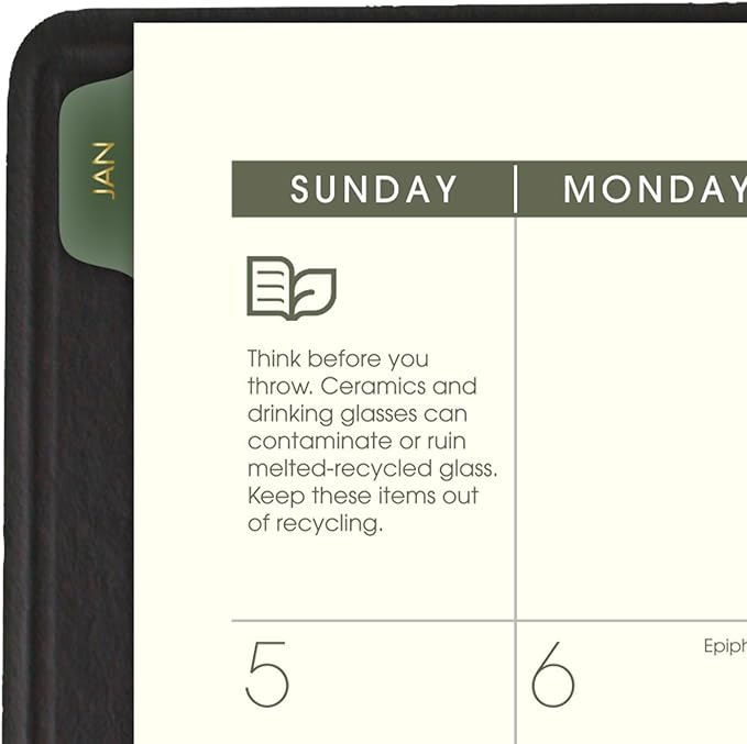 AT-A-GLANCE 2025 Appointment Book Planner, Weekly & Monthly, 5" x 8", Small, Hourly, Recycled, Black (70100G0525)