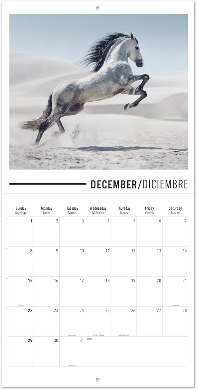 Wall Calendar 2024 12" x 12" FSC® Plastic Free - Starts Week On Sunday | Square Wall Calendar 2024 | Family Planner Calendar 2024 | 2024 Calendar (Horses 2024)