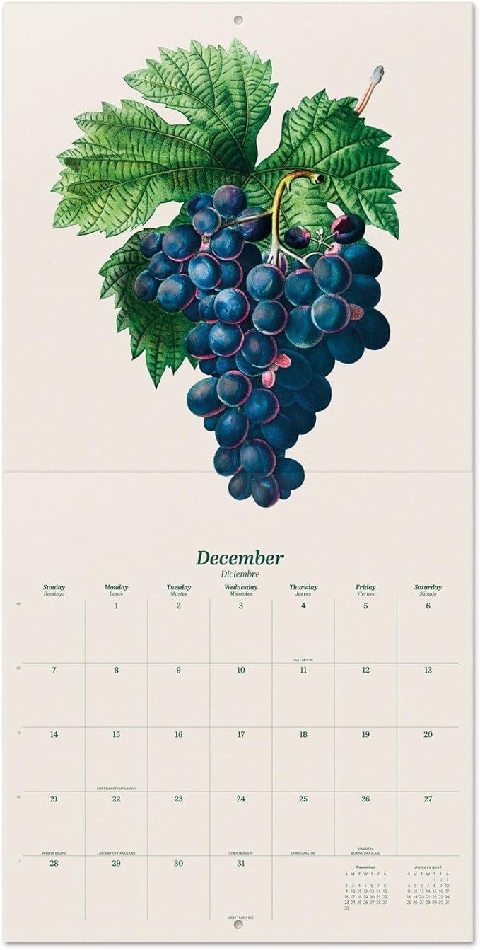 Botanical Wall Calendar 2025 12" x 12" FSC® Plastic Free - Starts Week On Sunday | Square Wall Calendar | Family Planner Calendar 2025 | Fruits Calendar 2025