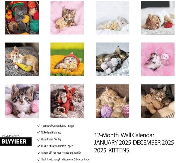 2025 Wall Calendar,Calendar 2025,Kittens Monthly Wall Calendar, 12" x 24" Open,Family Planner Calendar Organizer with baby kittens Images, for Kitty Cat Lovers