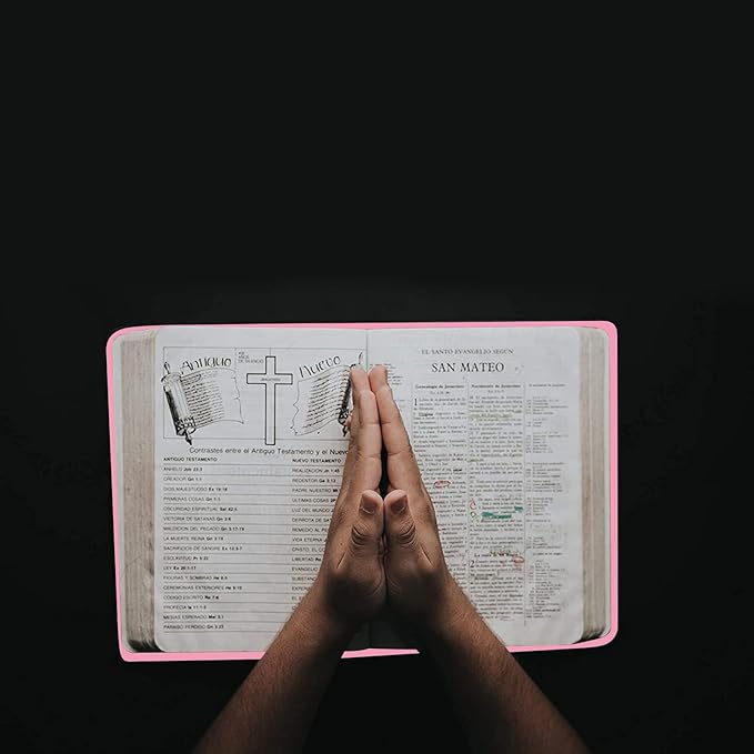 2 Pack Stretchable Book Sleeve Covers, for Paperbacks Hardcover Textbooks up to 9" x 12", Office Supplies with Free Sticker Labels (Rose Red + Pink)