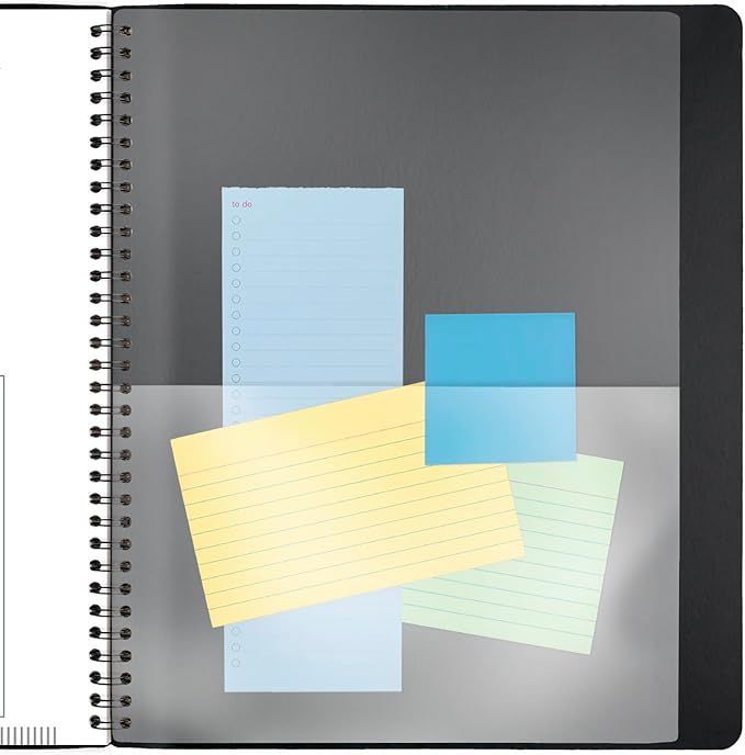 AT-A-GLANCE 2025 Planner, Monthly, 9” x 11”, Large, Contemporary, Black (70260X0525)