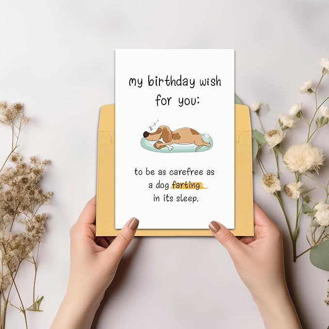 Funny Birthday Card for Him/Her, Humor Birthday Card for Family Friends, Bday Card for Sister Brother, My Birthday Wish For You To Be As Carefree As A Dog Farting In Its Sleep