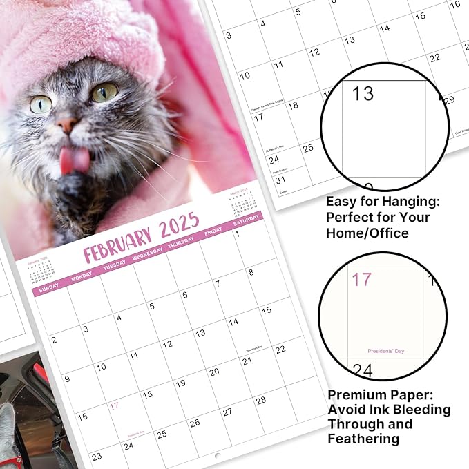 2025 Wall Calendar - January 2025 - December 2025, Funny Cat Calendar 2025, Wall Calendar Gag Gift, Funny Cat Memes Pics, 12'' x 24'' (Open), Funny Cat Calendar, Unruled Block, Hanging Hole, Holidays
