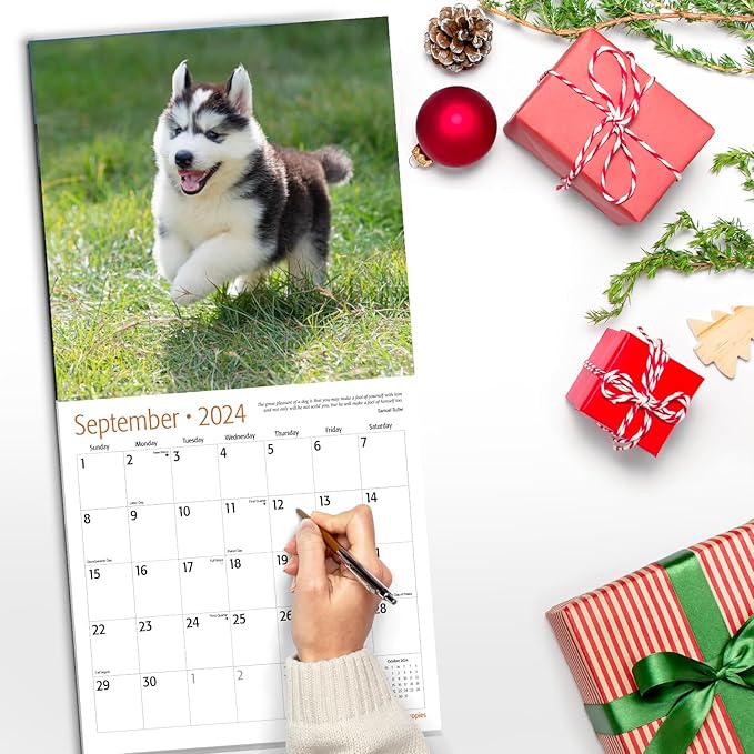 RED EMBER Siberian Husky Puppies 2024 Wall Calendar 12 Month | 12" x 24" Open | Thick & Sturdy Paper | Giftable | Calendar 2024