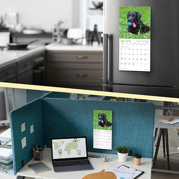 RED EMBER Black Labs Mini 2025 Wall Calendar 12 Month | 7" x 14" Open | Thick & Sturdy Paper | Giftable | Calendar 2025